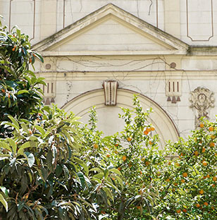 Trees from the garden at Maison Juste in Marseille